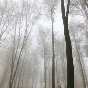  - Fotosintesi