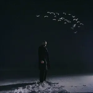 Loc-Dog - Журавли