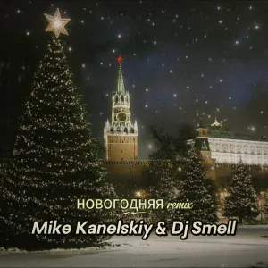 Mike Kanelskiy, DJ Smell - Новогодняя