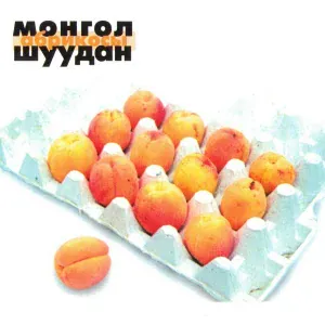 Монгол Шуудан - Бабочка