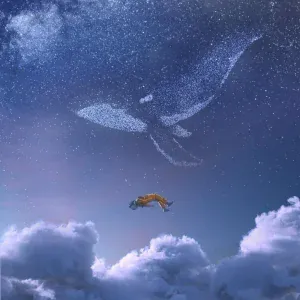 iday - Whale (youwindy Remix)