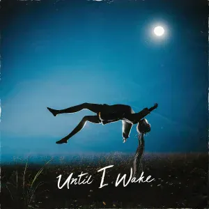 Until I Wake - Mixed Signals