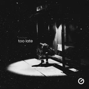 Bump Flicker - Too Late