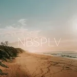 NBSPLV - Painted Shutters