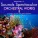Trevor Duncan feat. The New Concert Orchestra - Bound for the Country-Coast