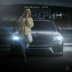 GAVRILKIN, 75th - Чёрный мерин