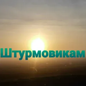 Андрей Асташов - Штурмовикам