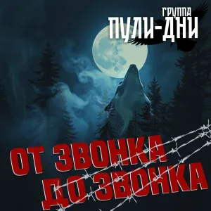 Группа Пули-Дни - Гоп стоп! Стреляю!
