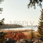NBSPLV - Explain