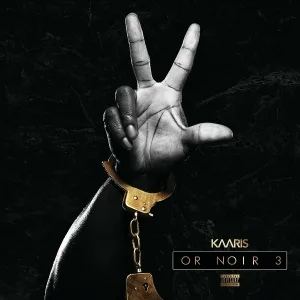Kaaris feat. Mac Tyer, Sofiane - Briganté
