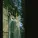 Dead Can Dance - In the Wake of Adversity