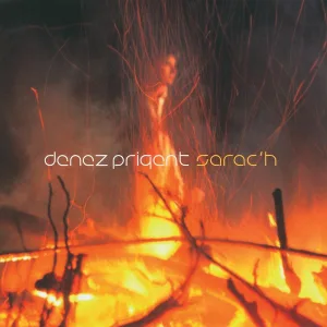 Denez Prigent - An Hini A Garan