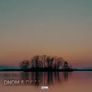 DNDM feat. Davvi - No No
