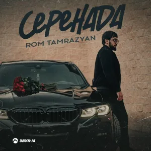 Rom Tamrazyan - Серенада