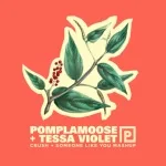Pomplamoose - Crush + Someone Like You Mashup