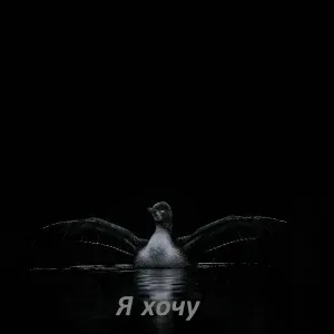 AiSeR - Я хочу