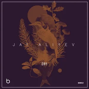 Jay Aliyev - Cry