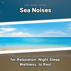 New Age, Ocean Sounds, Nature Sounds - Sound Effect for Elevators