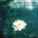 Le Chant de la Cithare - I Am Not Dying, I Am Entering Into Life