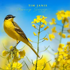 Tim Janis - Softly and Tenderly