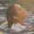 Wafia - Hurricane
