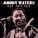 Muddy Waters - Can't Lose What You Ain't Never Had