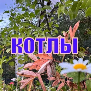 ваня и - Он дождь