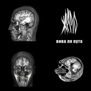 Жало - Вива Ля Пута
