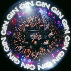 Лёша Стелит, DANORO - GIN
