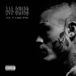 Lil Skies - Boss Up