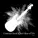 The Grass Roots - Temptation Eyes
