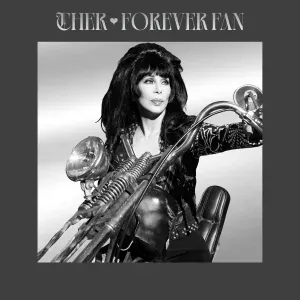 Cher - If I Could Turn Back Time