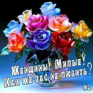 NL - Женщины! Милые! Как же вас не любить?