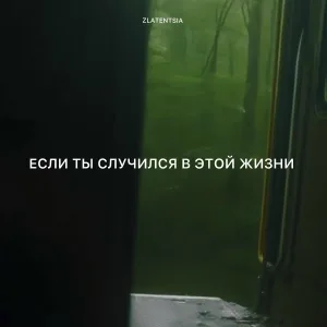 Zlatentsia - Если ты случился в этой жизни