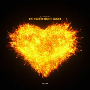 Bump Flicker - My Heart Went Boom