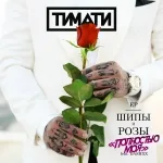 Тимати feat. DASHXX - Полностью моя
