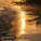 PHURS, Michael Shynes, Deep Mage - Another Day In Paradise