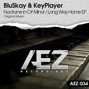 BluSkay - Long Way Home