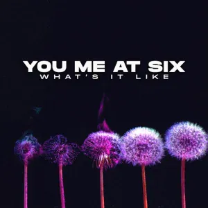 You Me At Six - What's It Like