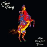 Altego feat. Britney Spears & Ginuwine [drivemusic.me] - Toxic Pony