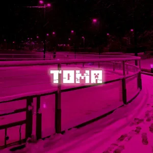 AiSeR - Toma