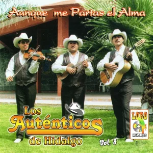Los Auténticos De Hidalgo - Extraño a México