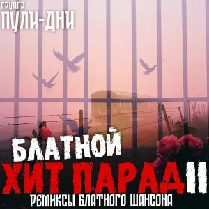 Группа Пули-Дни - Случай на Севере был (Remix)
