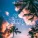Pascal Letoublon - Palm Springs