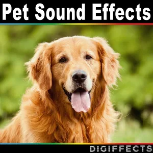 Digiffects Sound Effects Library - Doberman Dog Barking Outdoors with Echo