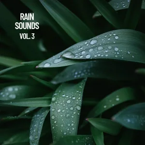 Lluvia en el Bosque, Naturaleza Sonidos, Lluvia Dormir Rico - Thunder and Rain