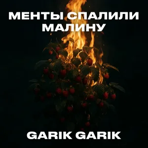 Garik Garik - Менты спалили малину