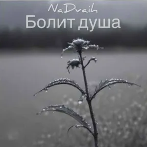 NaDvaih - Болит душа