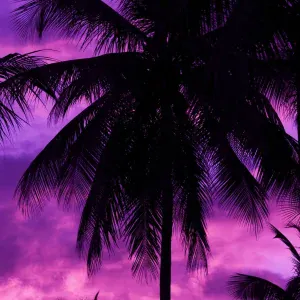 djkhas - Love and Night
