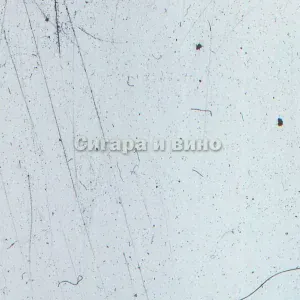 daur - Сигара и вино